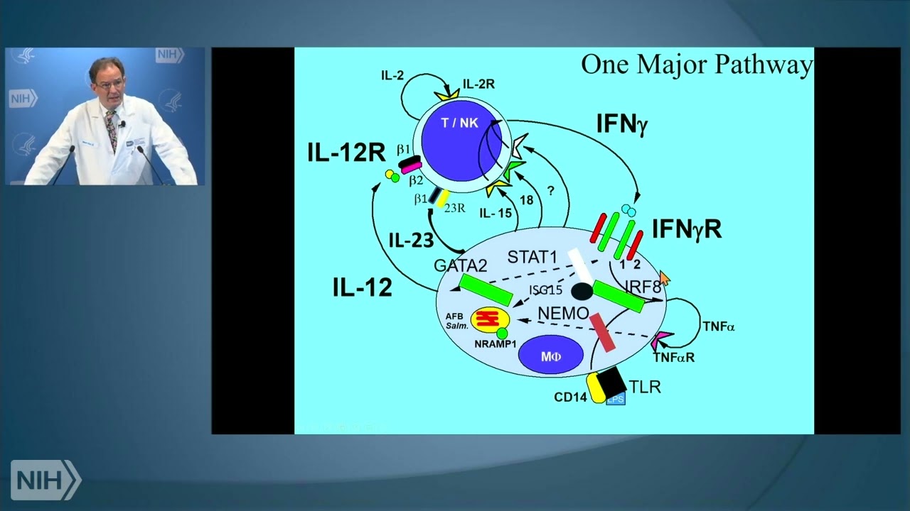 Anticytokine Autoantibodies: Causes, Concomitants and Complications of Infectious Diseases