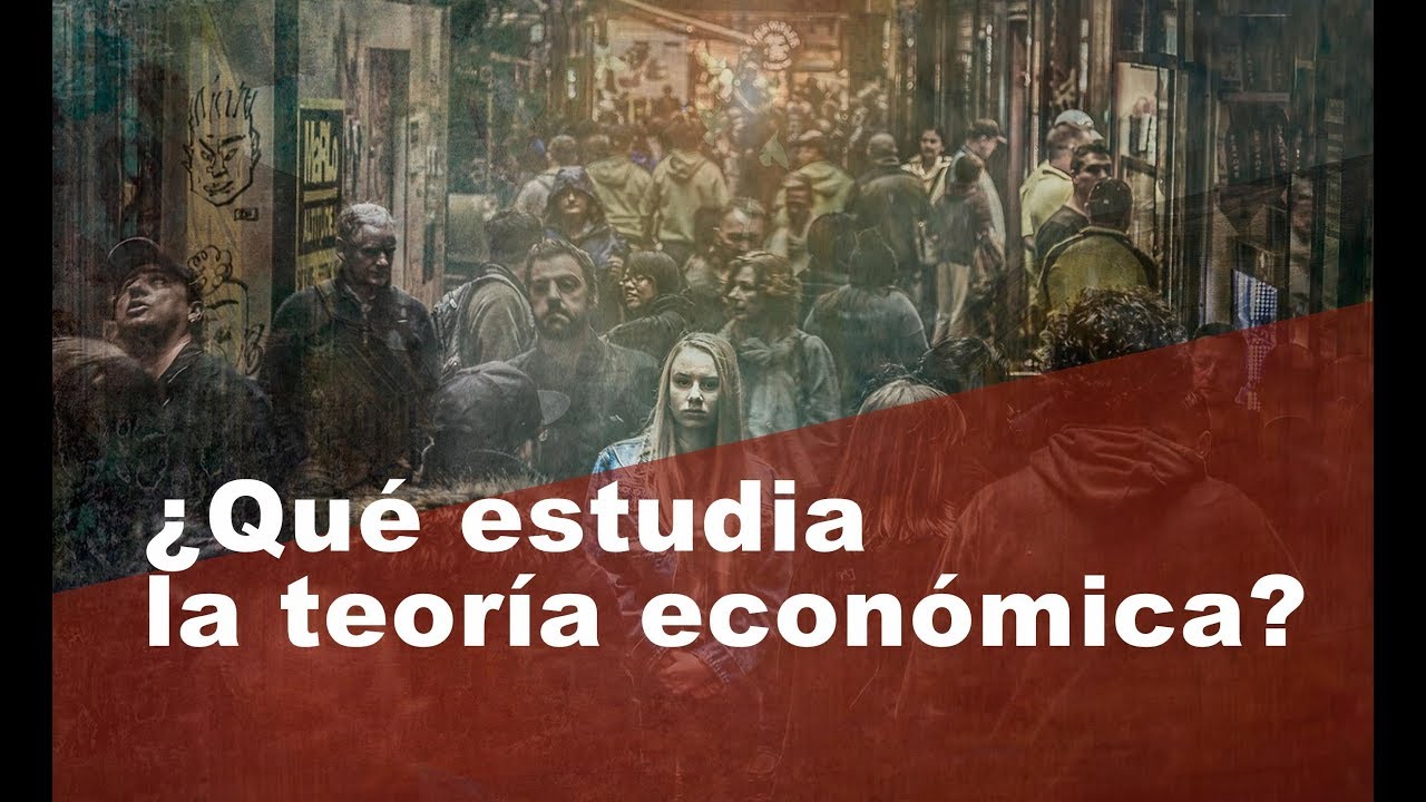 ¿Qué estudia la teoría económica?