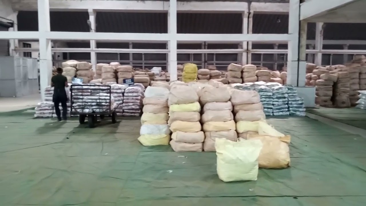 Rcm Tea Plant