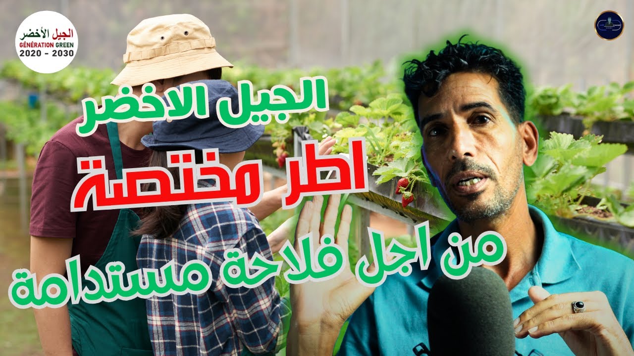 الجيل الاخضر:  يهدف لخلق 150 الف منصب شغل مختص في الفلاحة