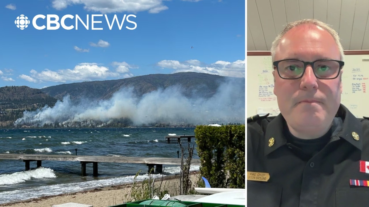 Wildfire is a 'risk we need to learn to live with': B.C. fire chief