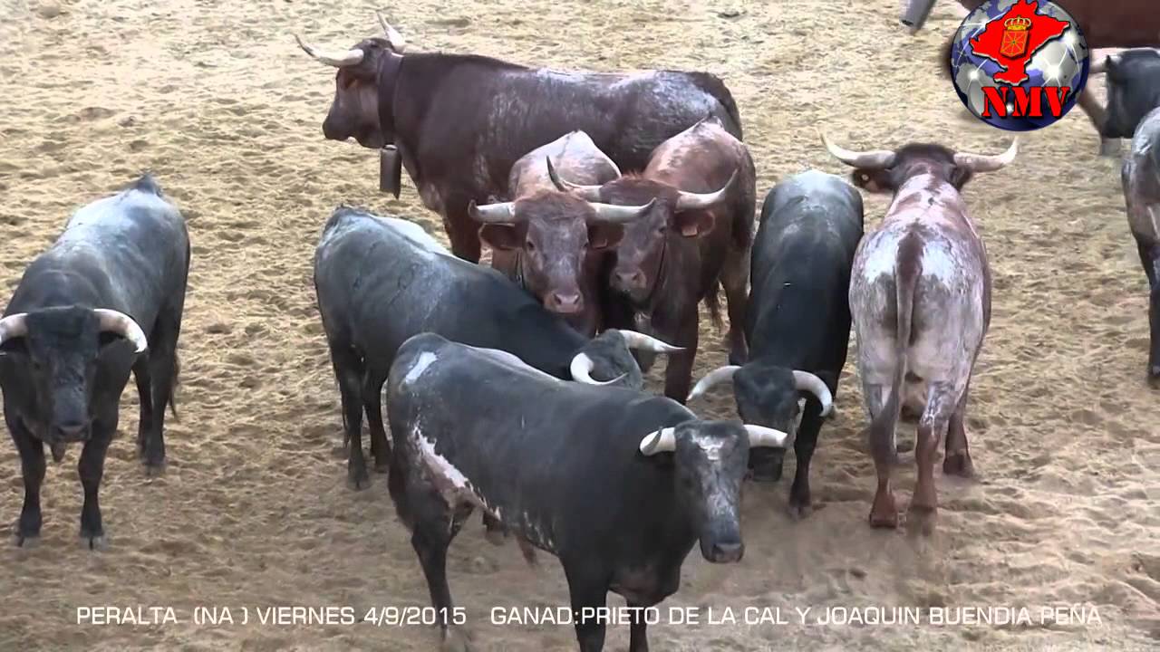 novillos y encierro Tv Peralta 2015 NAVARRAMUNDOVISION 989 TIVO