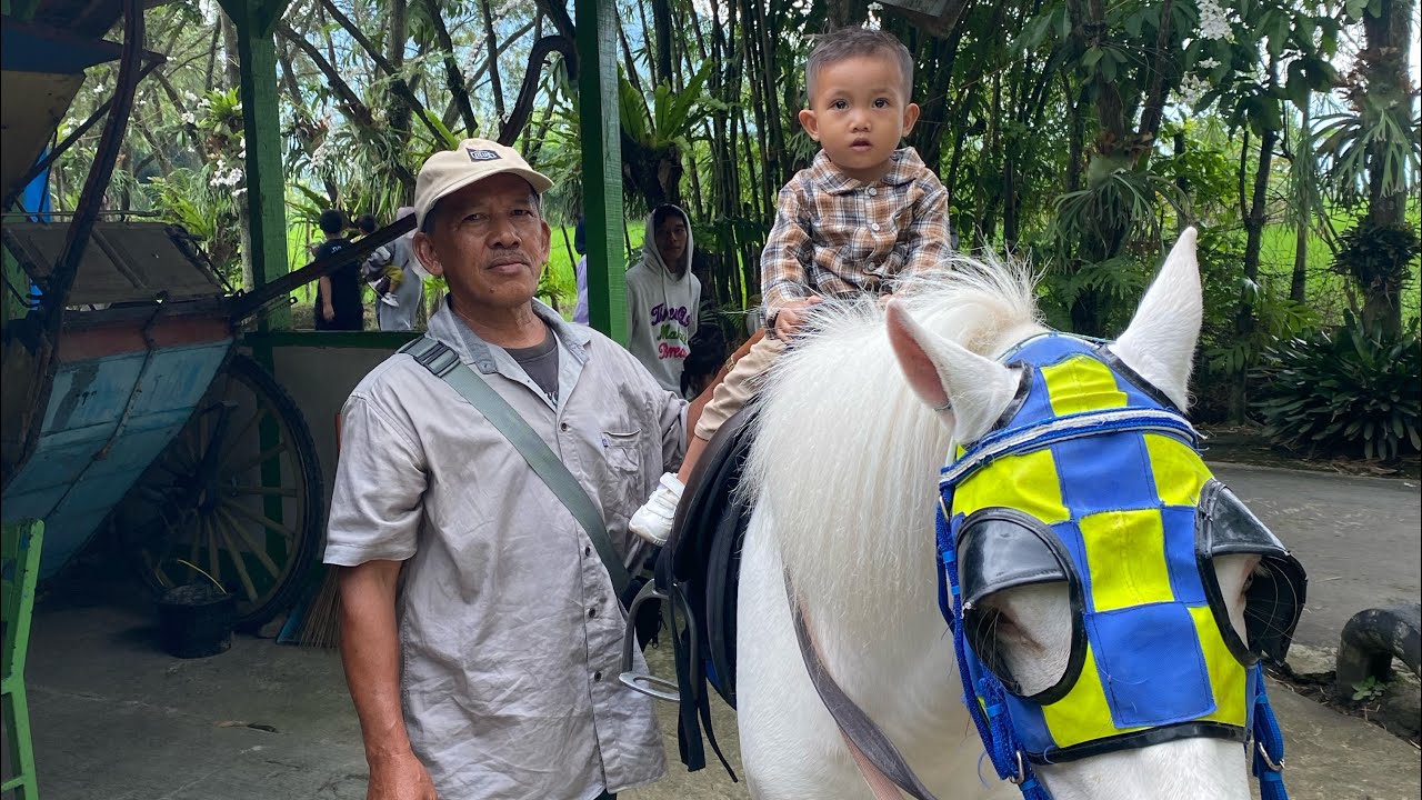 naik kuda di zoo