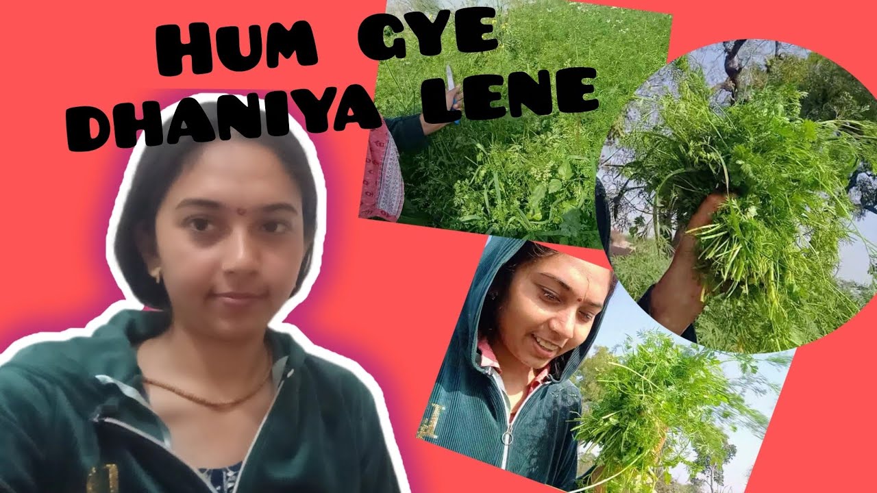 हम गये खेत से धनिया लेने | We went to the farm to collect coriander | @Bindassgirl123t 