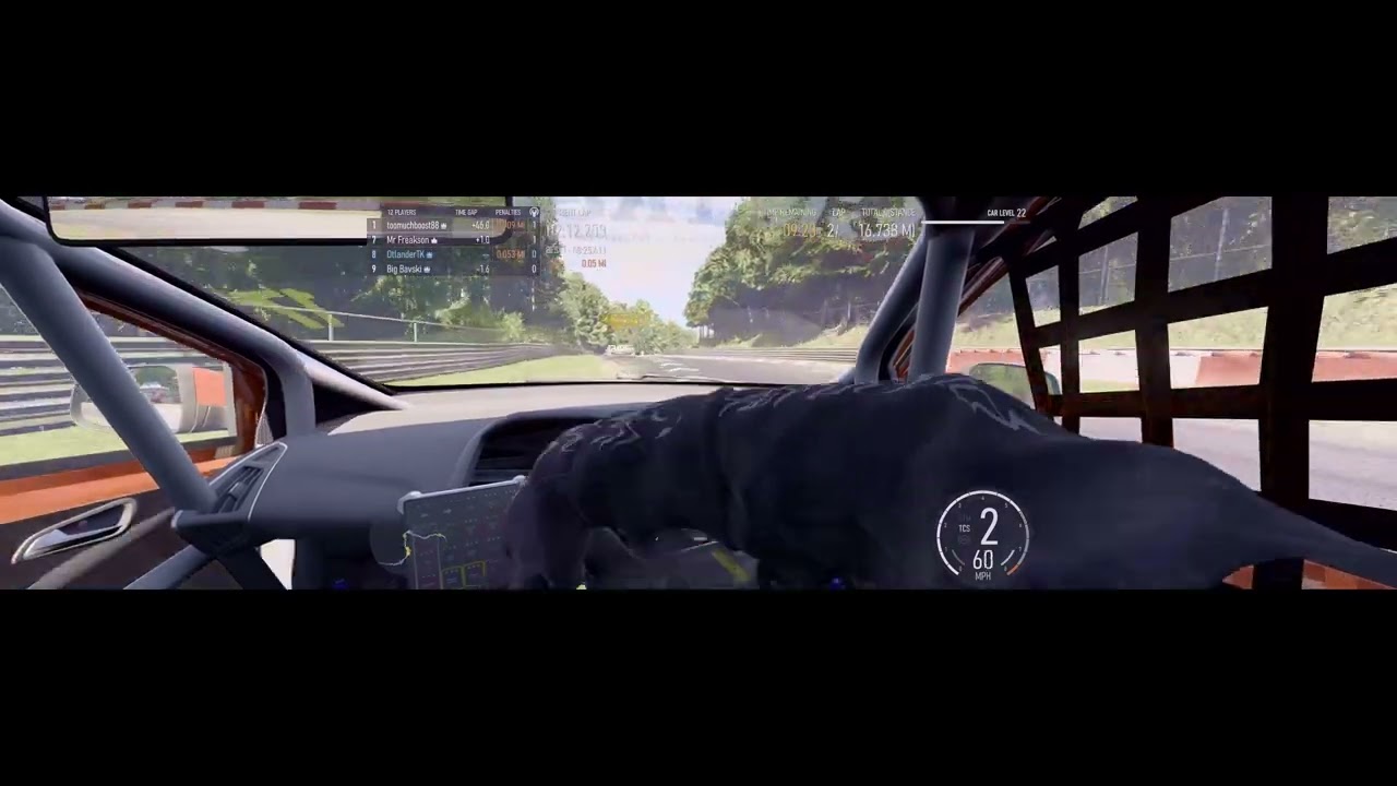 Forza Motorsport - Nürburgring Nordschleife - 2014 Ford #17 AMD Tuning Focus ST BTCC - Multiplayer