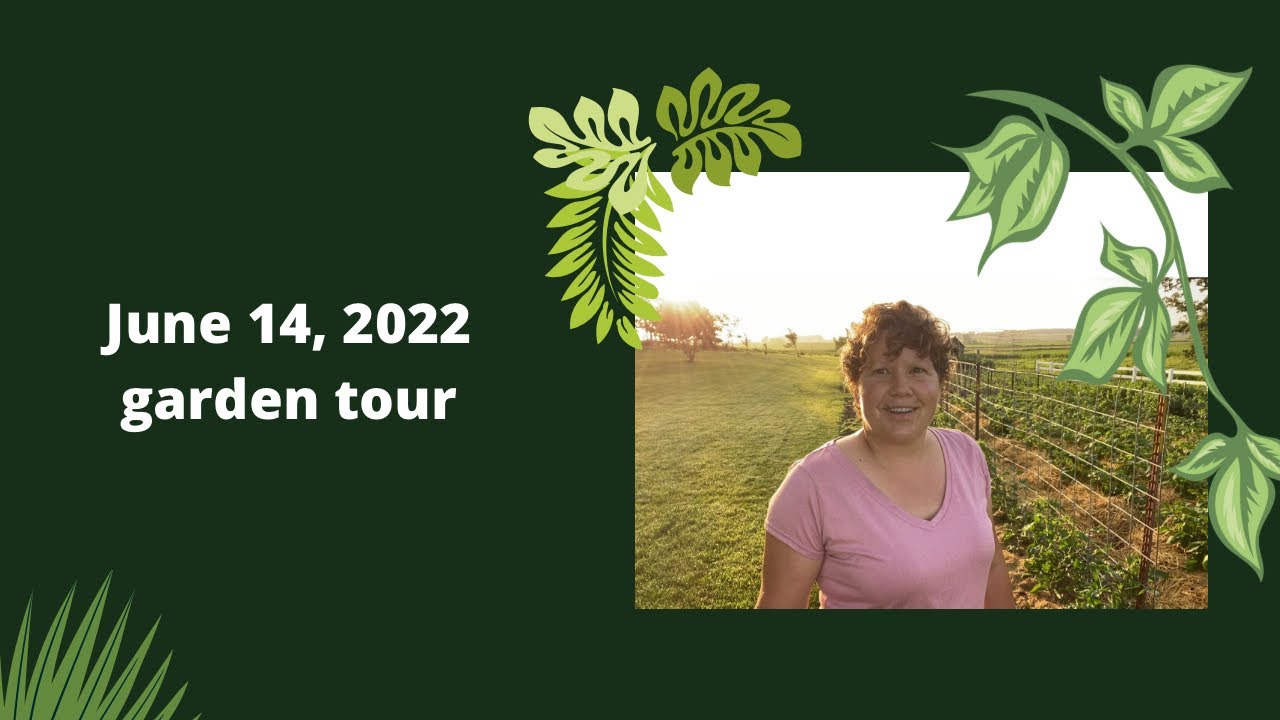 RuthAnn's June 14 garden tour