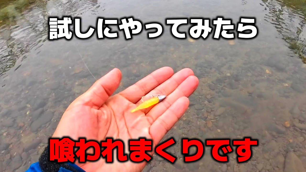 時期関係なく爆釣してるあのリグを放ったら最高に面白かったので使い方をお伝えします【バス釣り】【10月】【11月】【マイクロワインド】【ハネエビ】