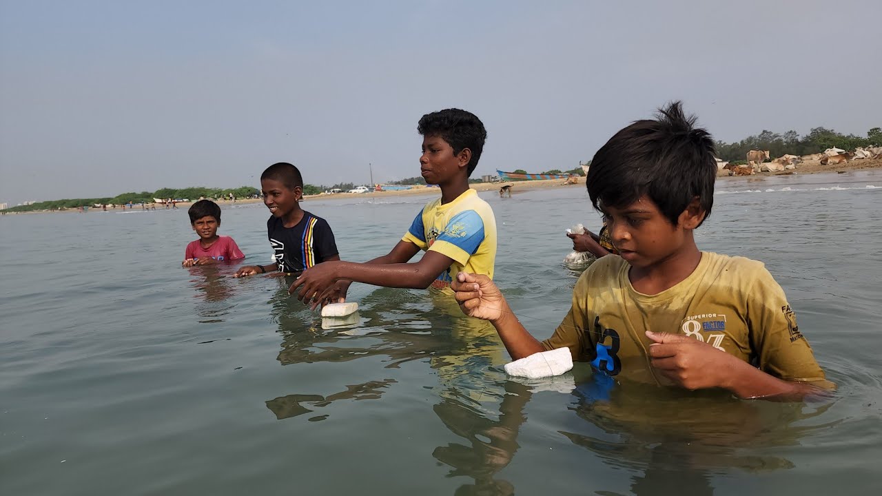 ஒரு ரூபாய் தூண்டில் சிறுவர்கள் பிடித்த அதிகமான பாறை மீன்கள் One rupee bait is the boys rock fish