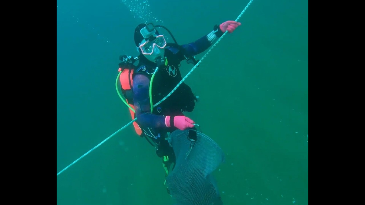 Dive Conditions 02 28 2026