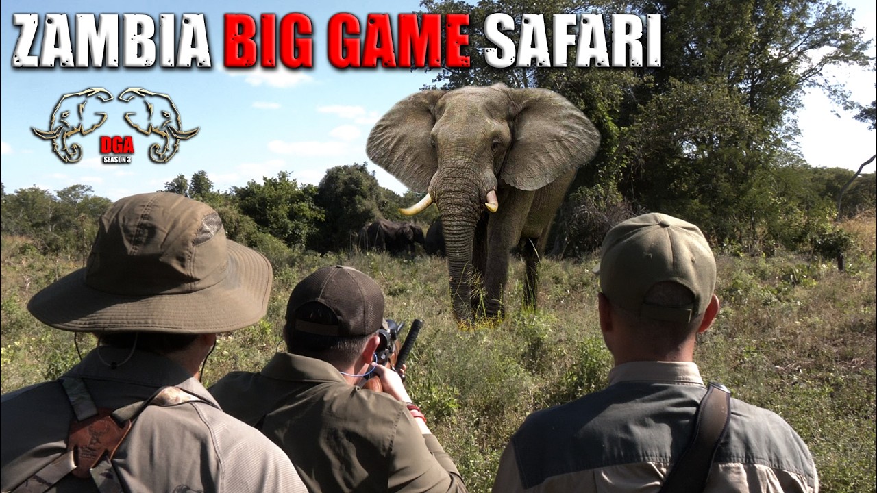Hunting Elephant & Buffalo in Zambia