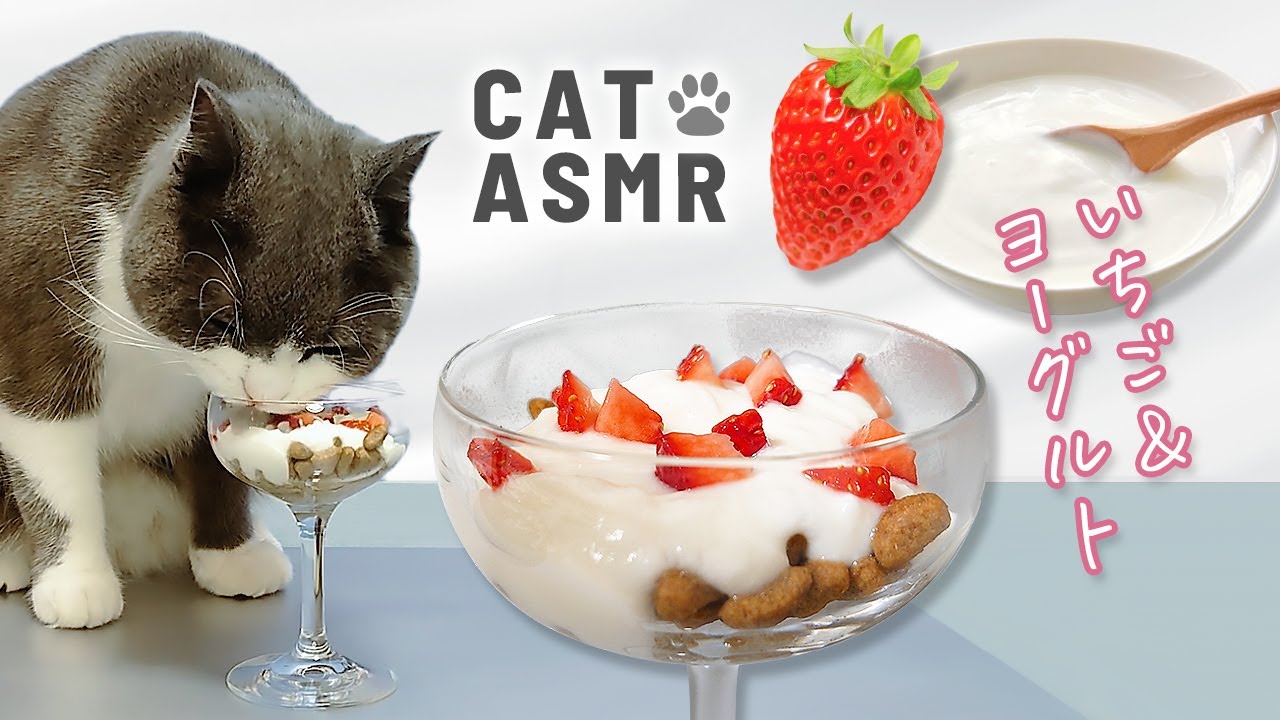 [Кошка ACMP] 😸🍓Вкусный десерт. Клубника и йогурт