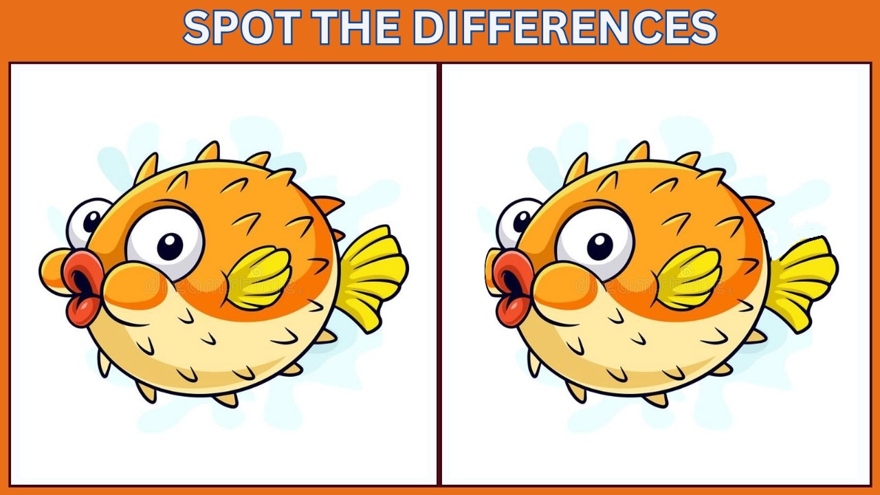 Spot the 3 Differences | 10 Brain Teasers to Test Your IQ  🔍