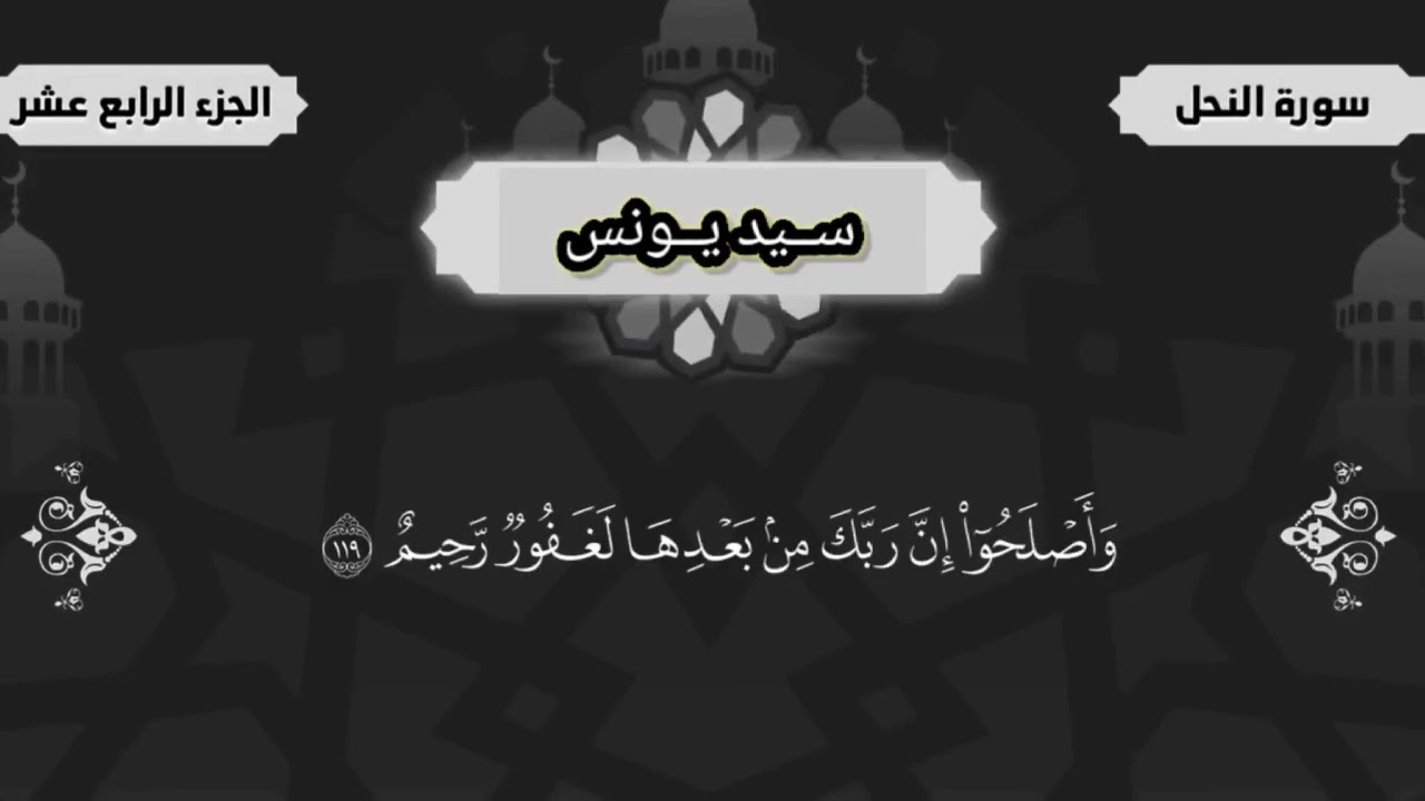 قران الكريم ــ سورة النحل ــ القارئ: سيد يونس