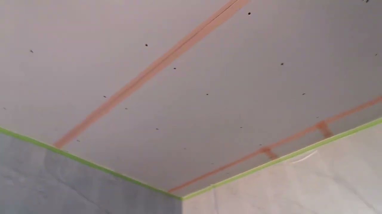 Overboard ceiling and replaster