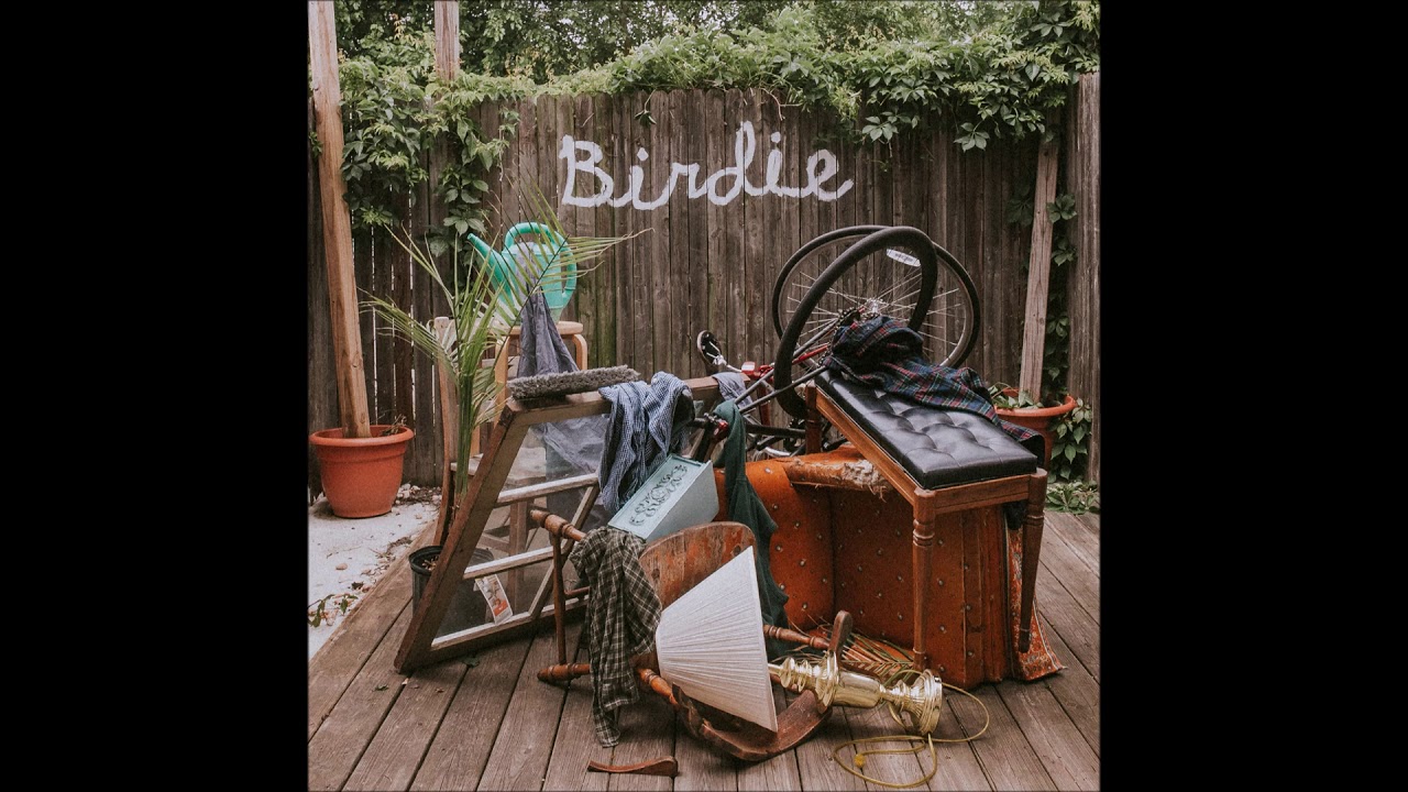 Slaughter Beach, Dog - Acolyte