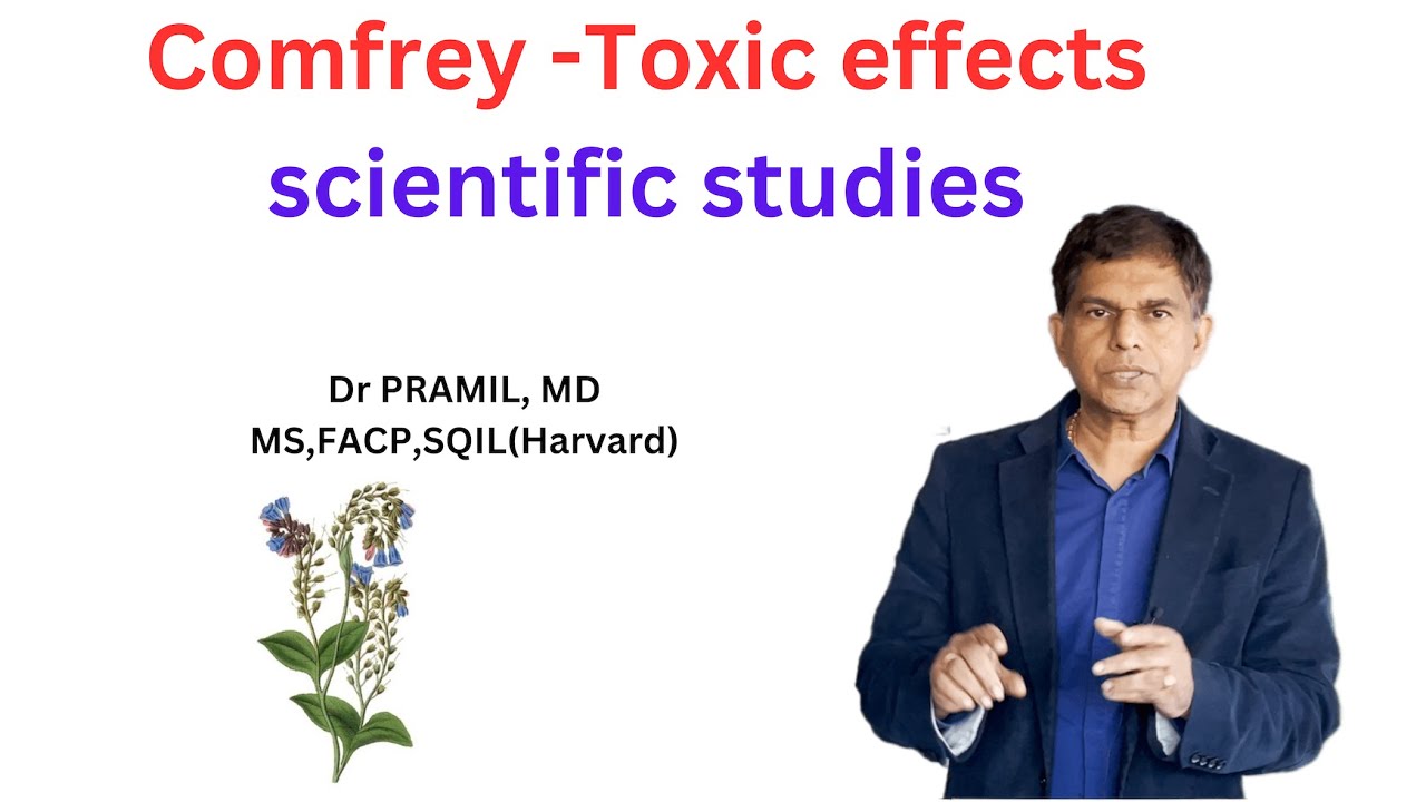 Comfrey and its Toxic effects -scientific studies  Dr Pramil, MD, MS, FACP