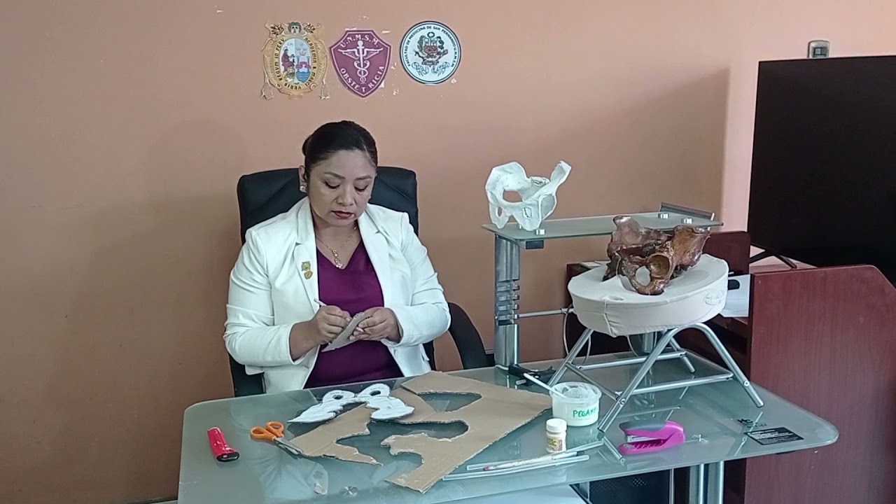ELABORACIÓN DE MAQUETA DE PELVIS CASERA- Docente Obst.Bertha Landa M.Escuela de Obstetricia-UNMSM