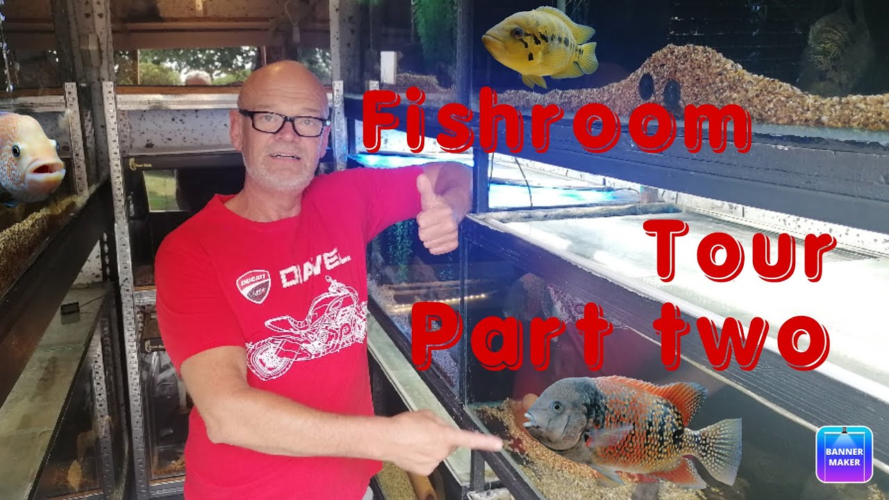 Тур Fishroon по цихлидам Центральной Америки, часть 2. Июль 2022 г.