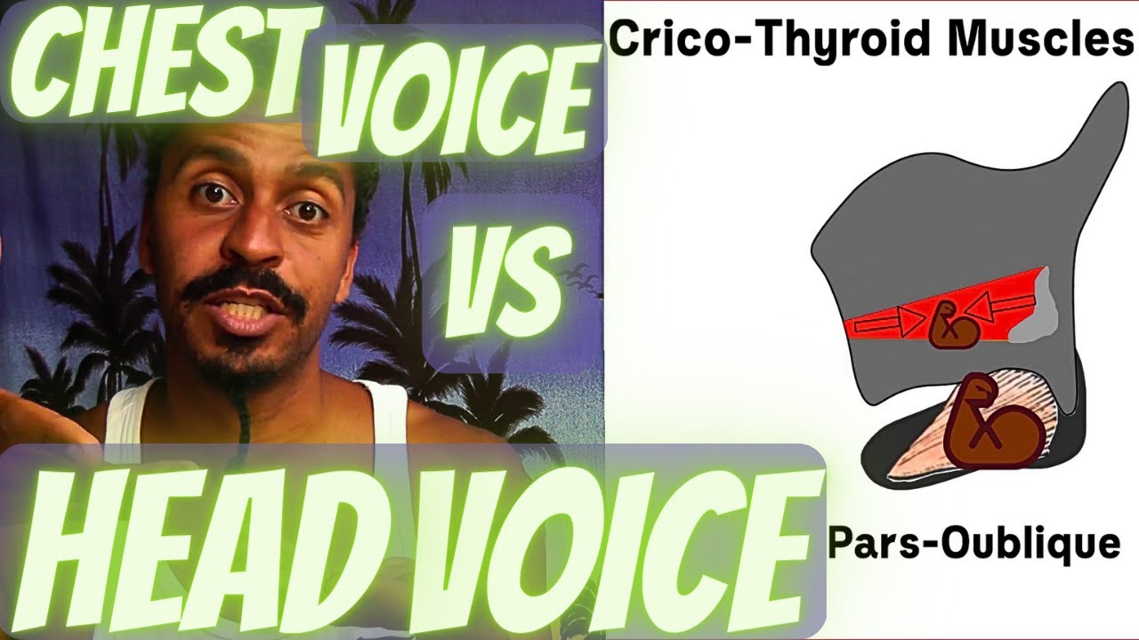 Chest-Voice vs CT Muscle – Anatomical Vocal Training (56)