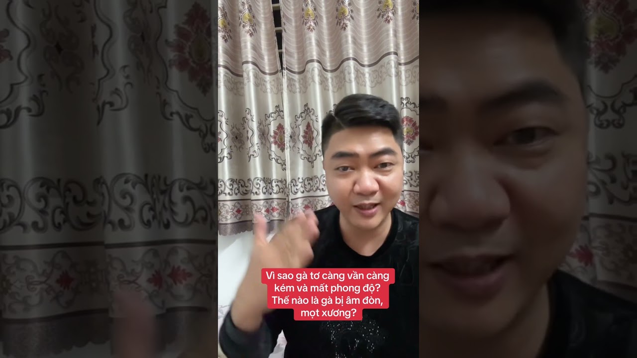 Gà càng vần càng kém phong độ. 4 nguyên nhân và cách phòng tránh hiệu quả.