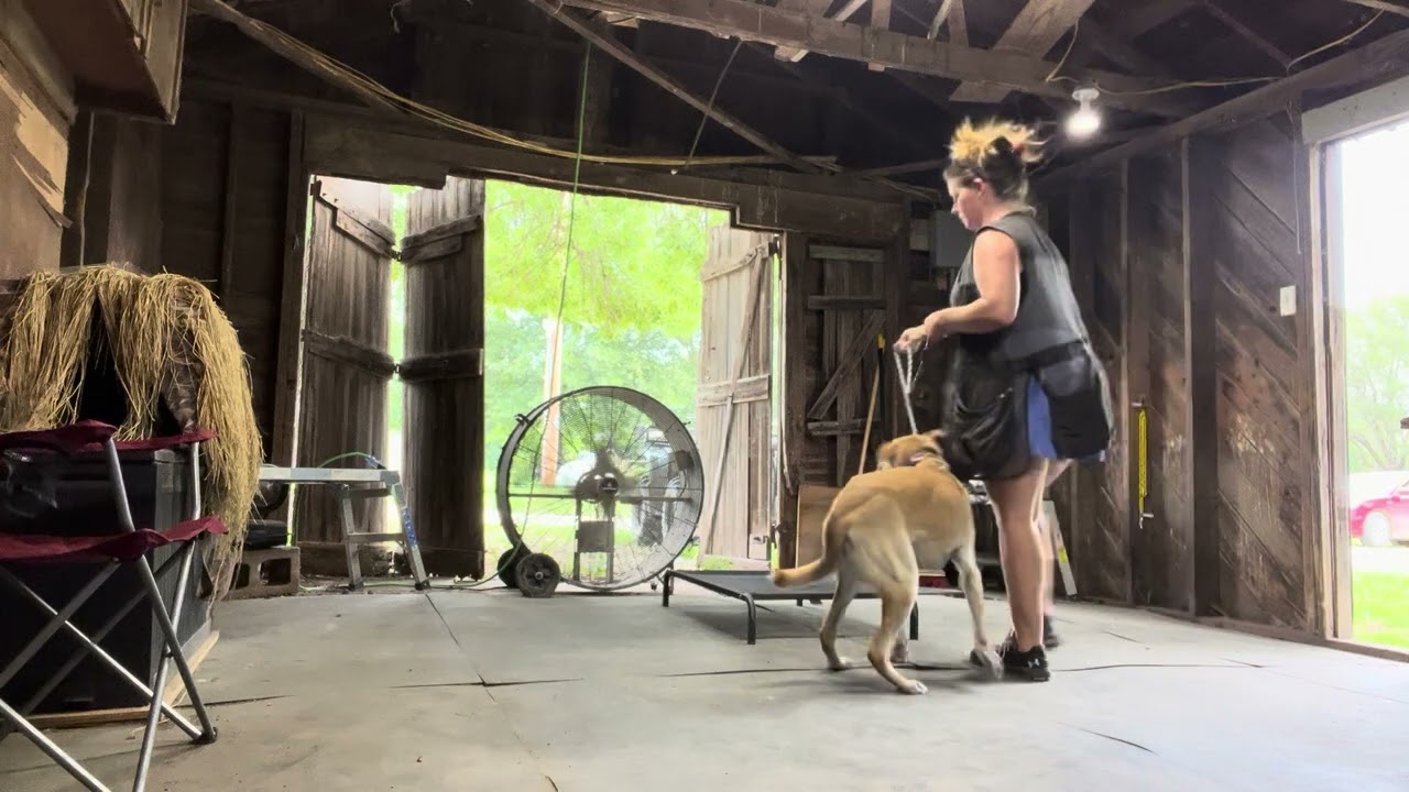 Milo 7/26