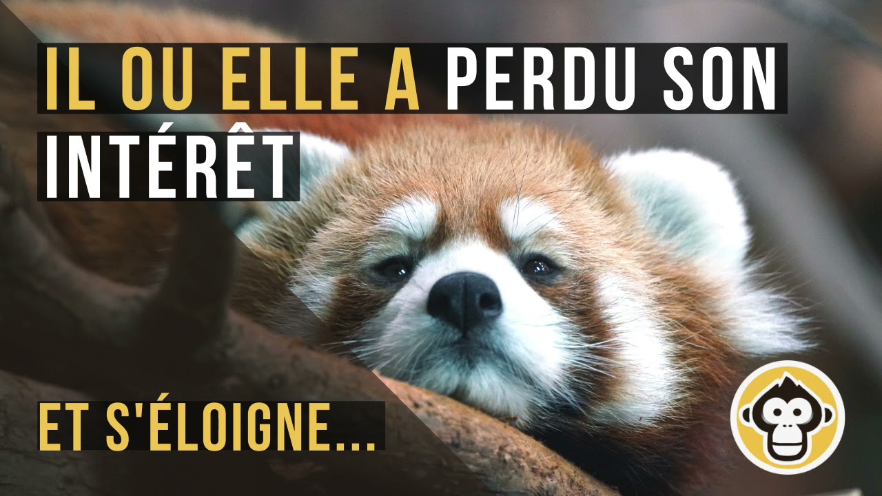 Il ou Elle a perdu son intérêt et s'éloigne
