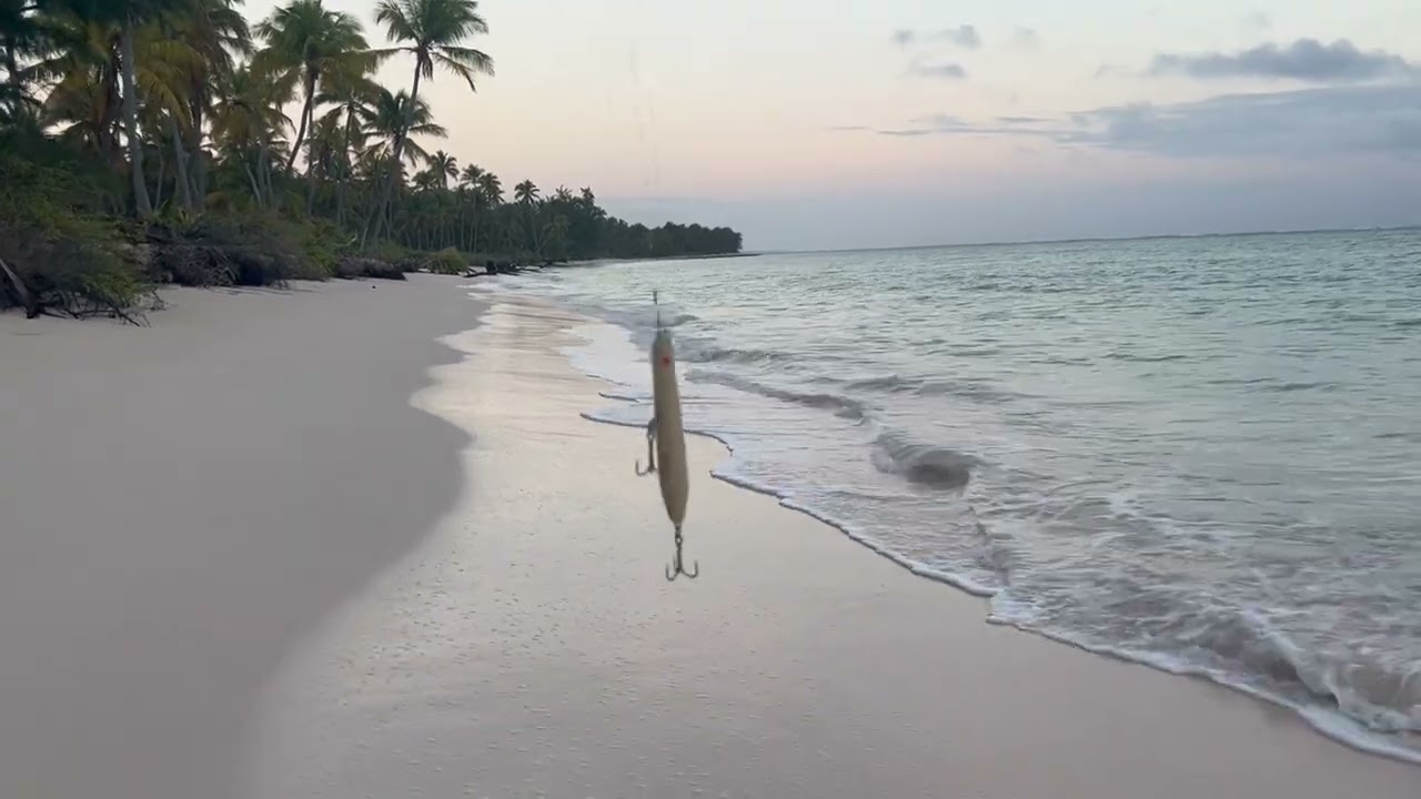 Sunscape coco Punta Cana 