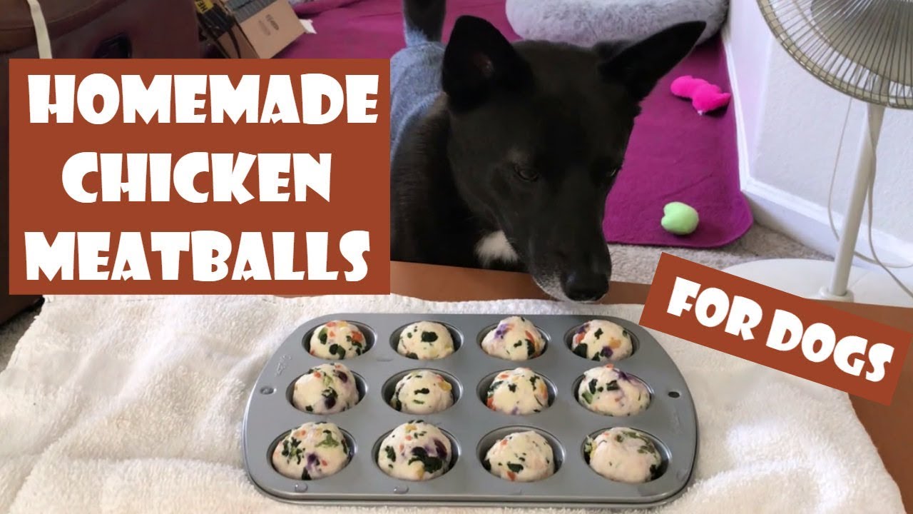 Cooking for my dog | Chicken Meatballs (Homemade Dog Food/Treats)