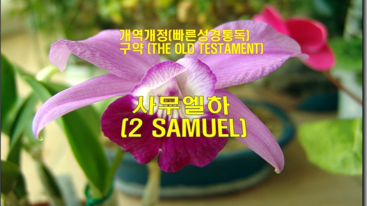 (개역개정 성경)_사무엘하