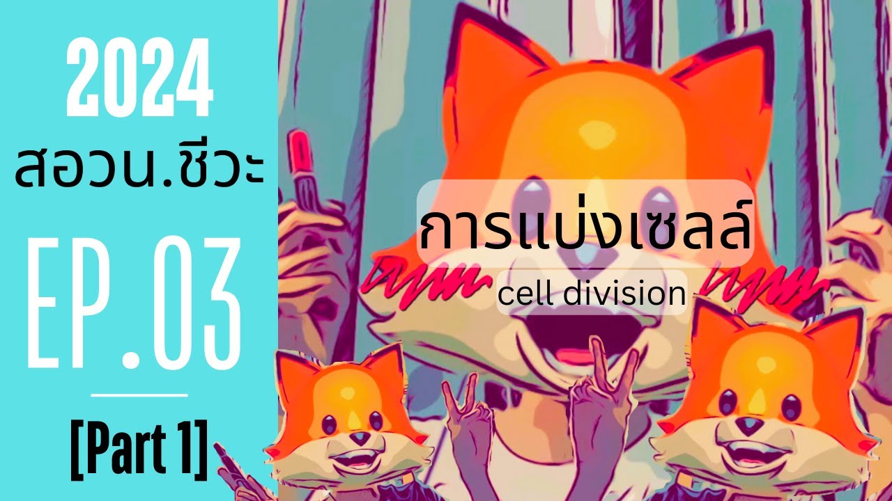 EP.03/31 [PART1] - การแบ่งเซลล์ - สอวน. ชีววิทยา 2025