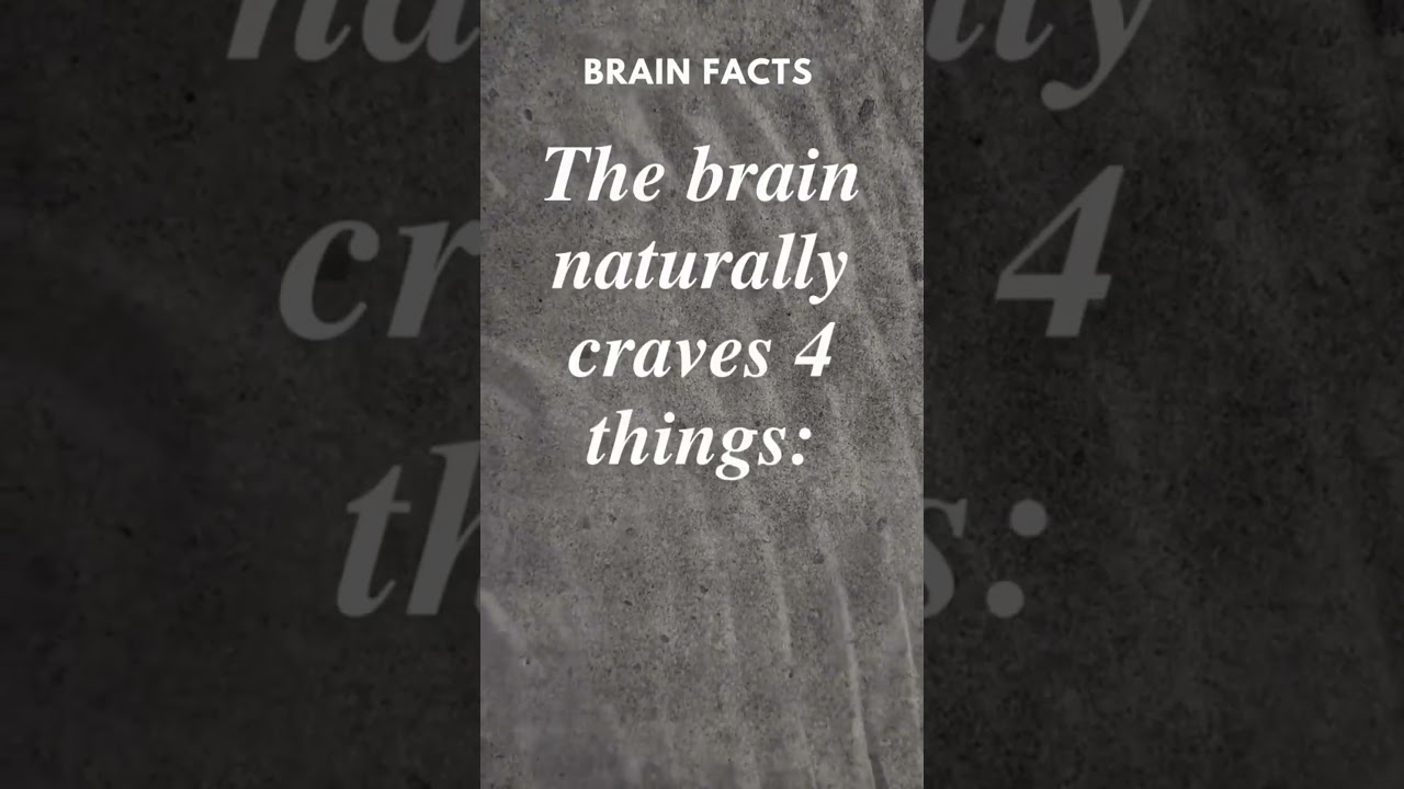 Brain's Survival Instinct: Food, Water & Sleep | Facts #shorts