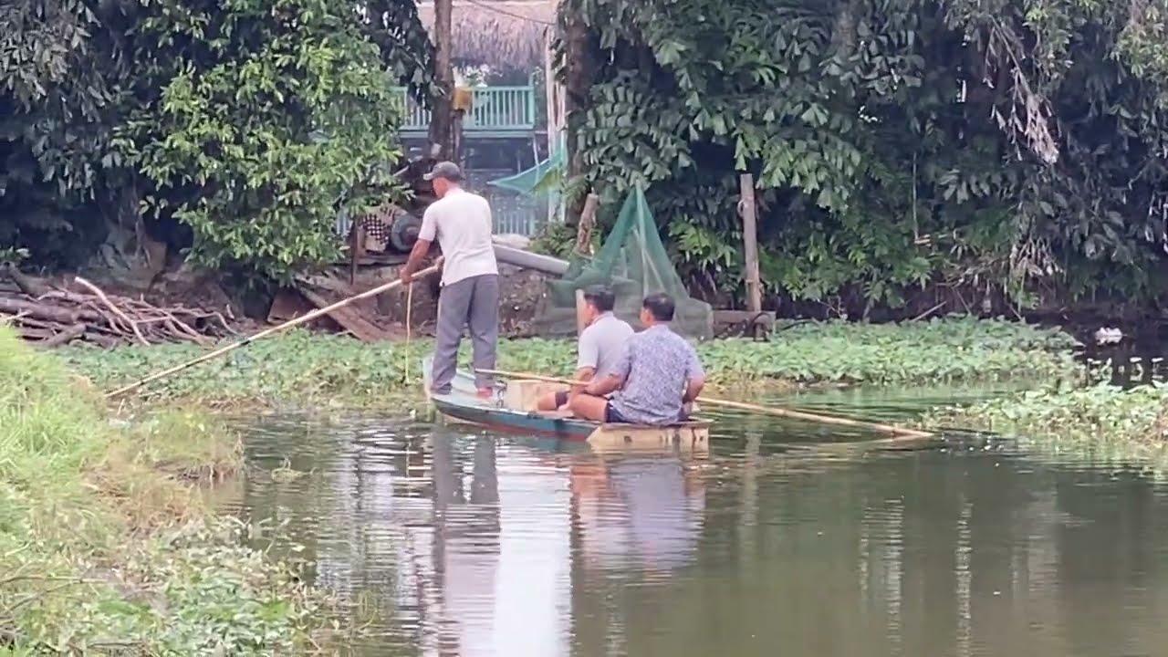 Hành Trình Bắt Cá Lóc Của Anh Em Chúng Tôi