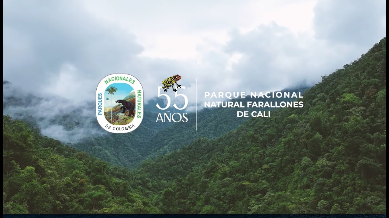 #Farallones55Años | La historia de la joya natural que abarca los municipios de Dagua y Jamundí