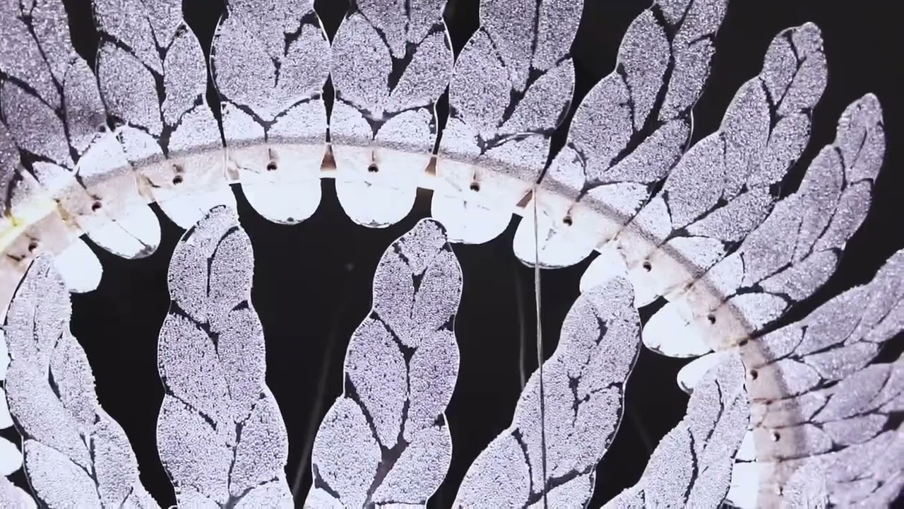 【VILIYA】Snowflake Series