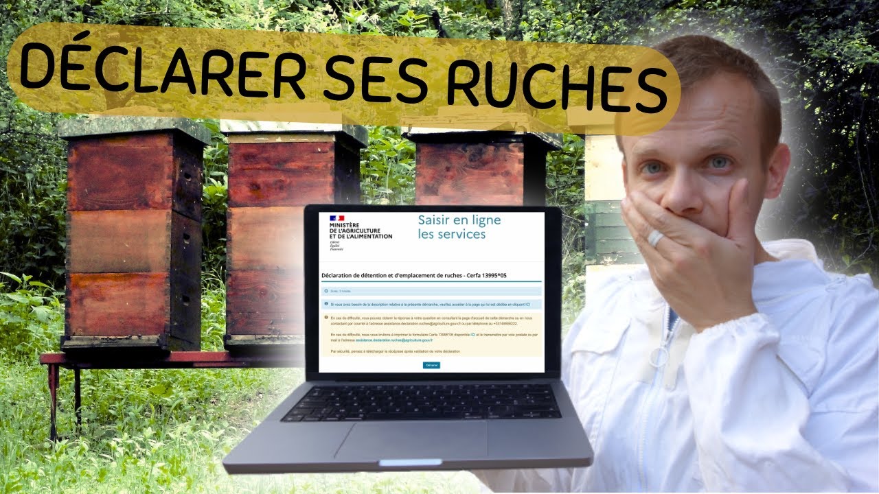 POURQUOI et COMMENT remplir la d&eacute;claration obligatoire des ruches ?