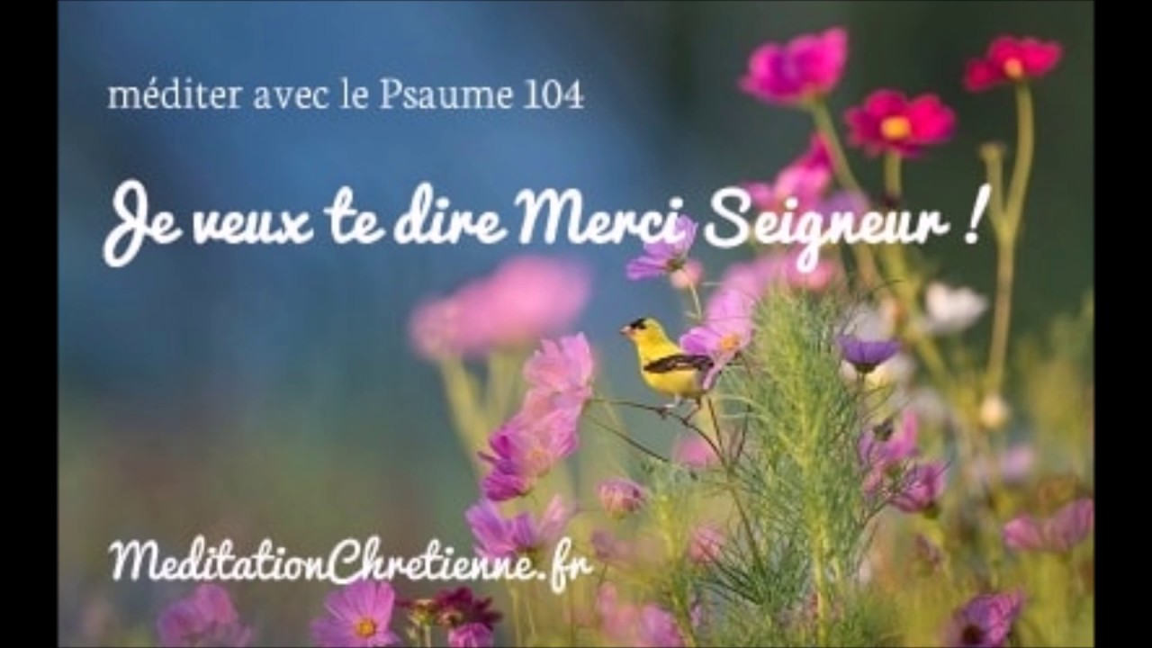Méditation chrétienne guidée - Je veux te dire Merci Seigneur ! - Psaume 104