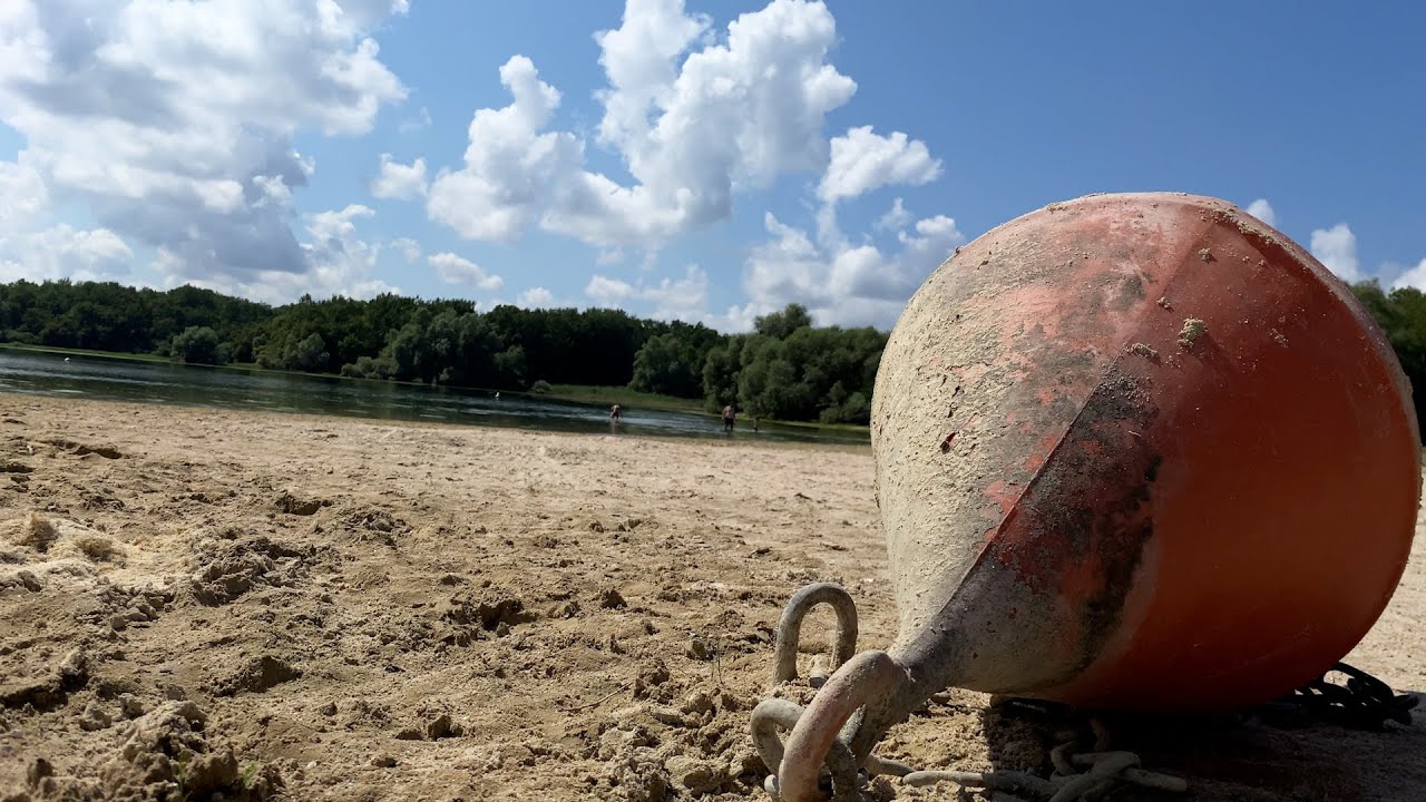 Lac du Der : retrait de l'eau, plus de surveillance