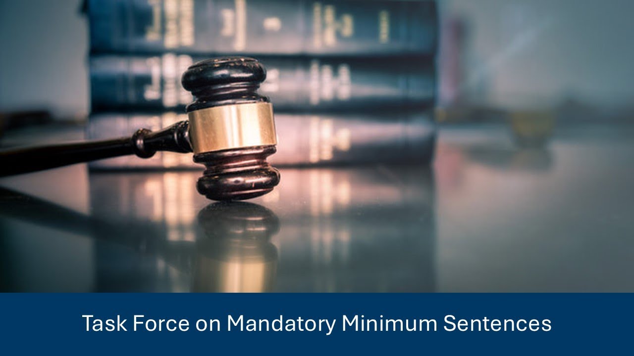 Task Force on Mandatory Minimum Sentences  August 1, 2025