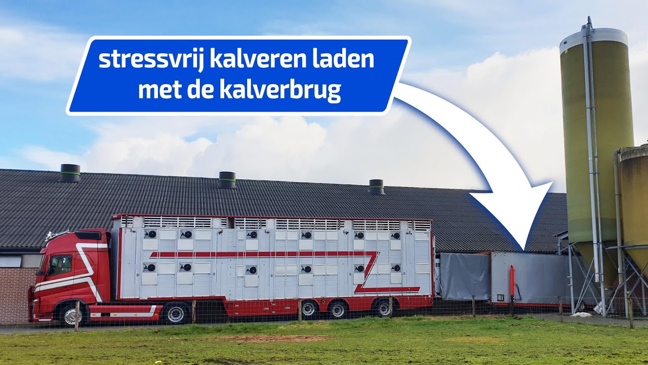 Kalverbrug - Stressvrij kalveren lossen en laden met de kalverbrug van Schakel verhuur