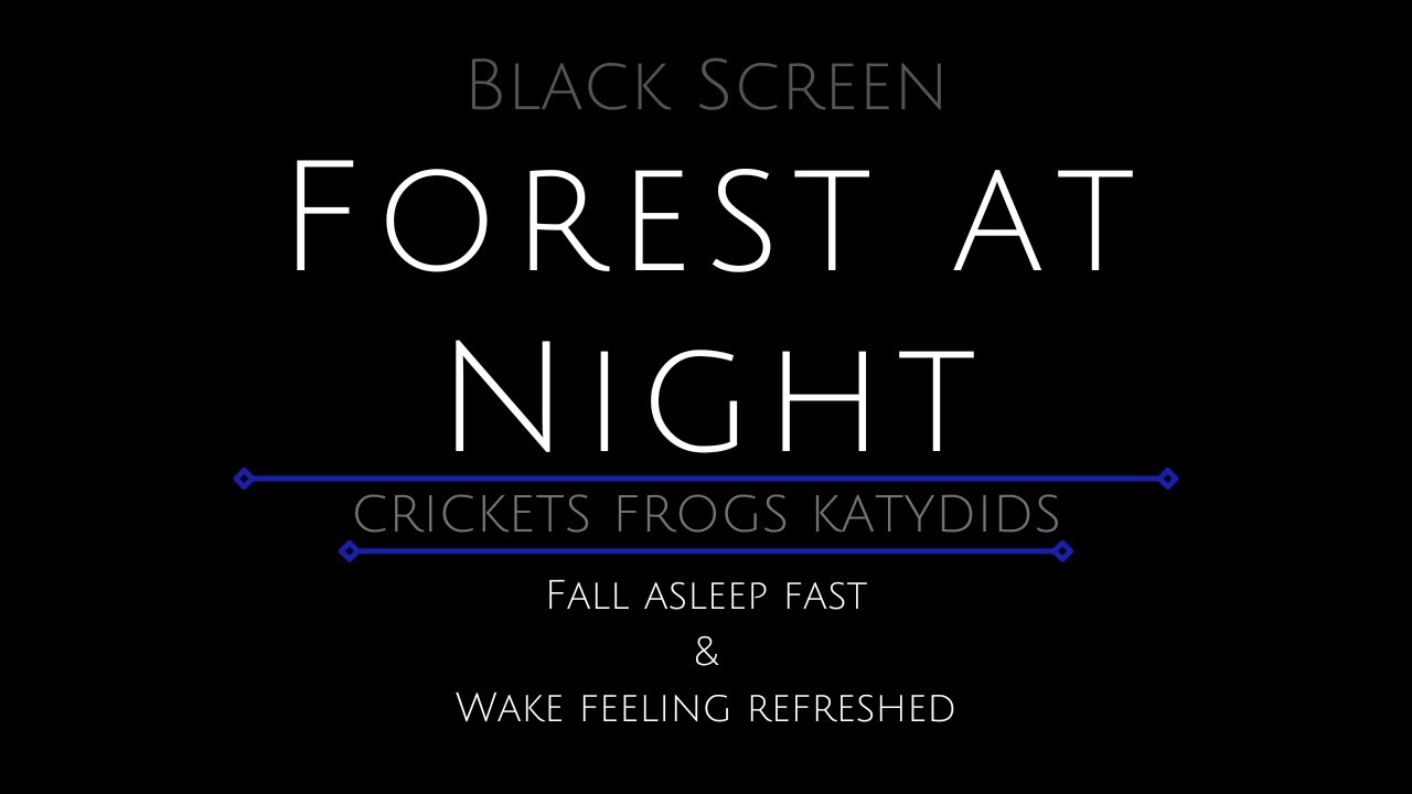 10 Hours - Forest at Night - Forest Frogs - Crickets - Katydids - Forest Sounds - Frogs in Forest