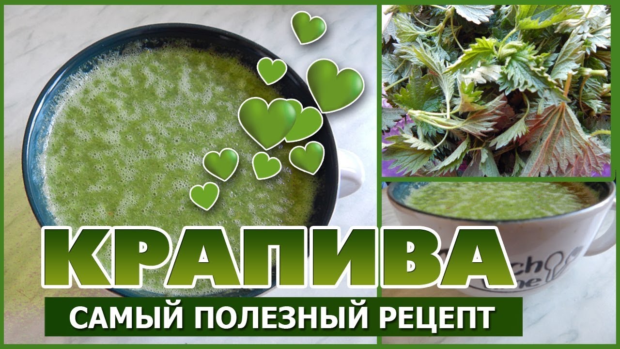 Крапива - самый полезный рецепт. Бая Че Доктор Натуропатии