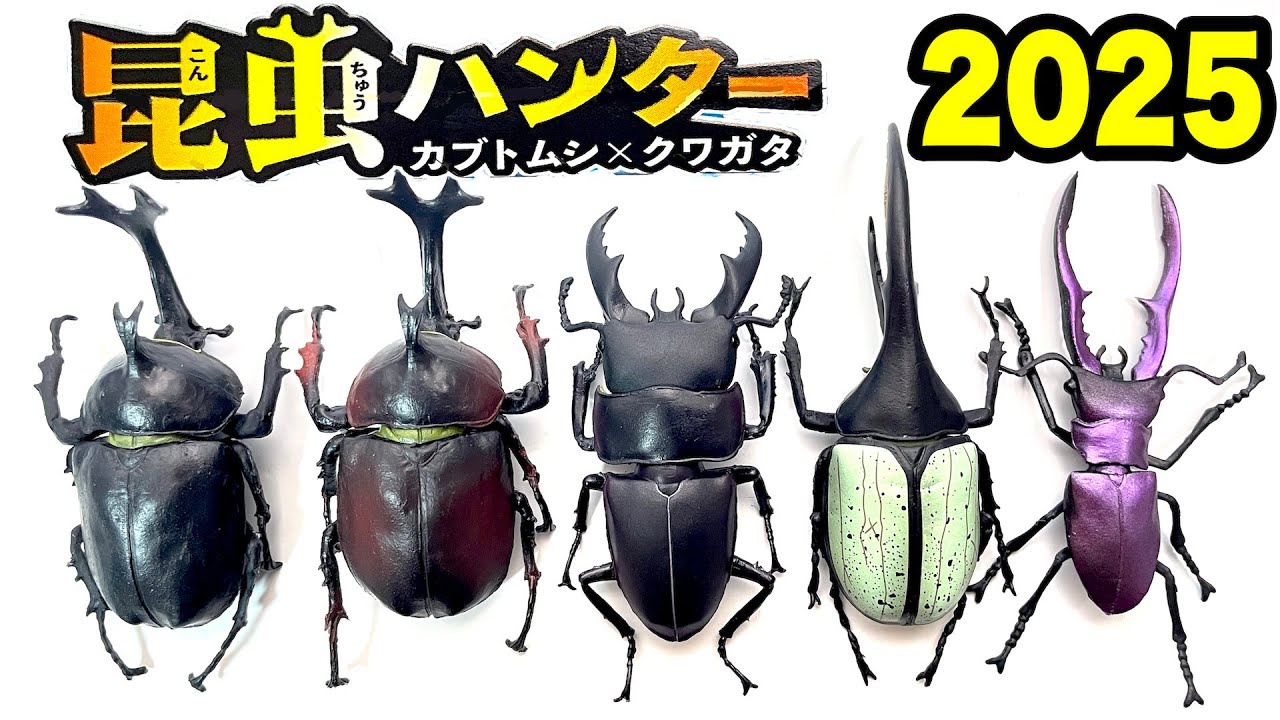2025 昆虫ハンター カブトムシ×クワガタ 全5種 開封 Beetle ＆ Stag beetle Hunter Super real figure F-TOYS 食玩 candy toys
