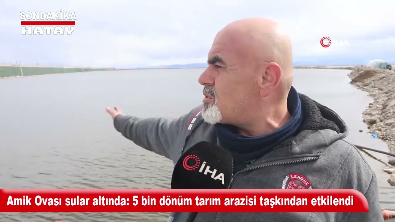Amik Ovası sular altında 5 bin dönüm tarım arazisi taşkından etkilendi