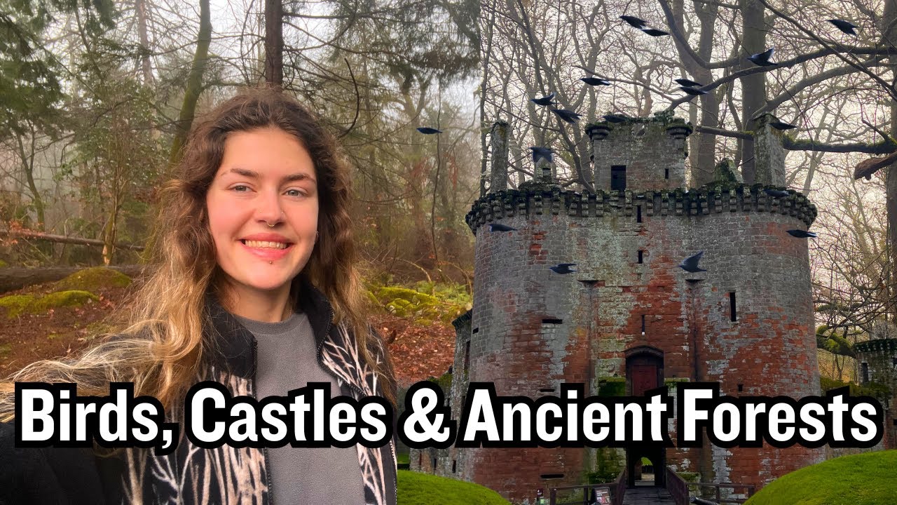 I Traveled Alone to Scotland to Follow the Starlings | Starlings Vlog: UK Hotspots P3