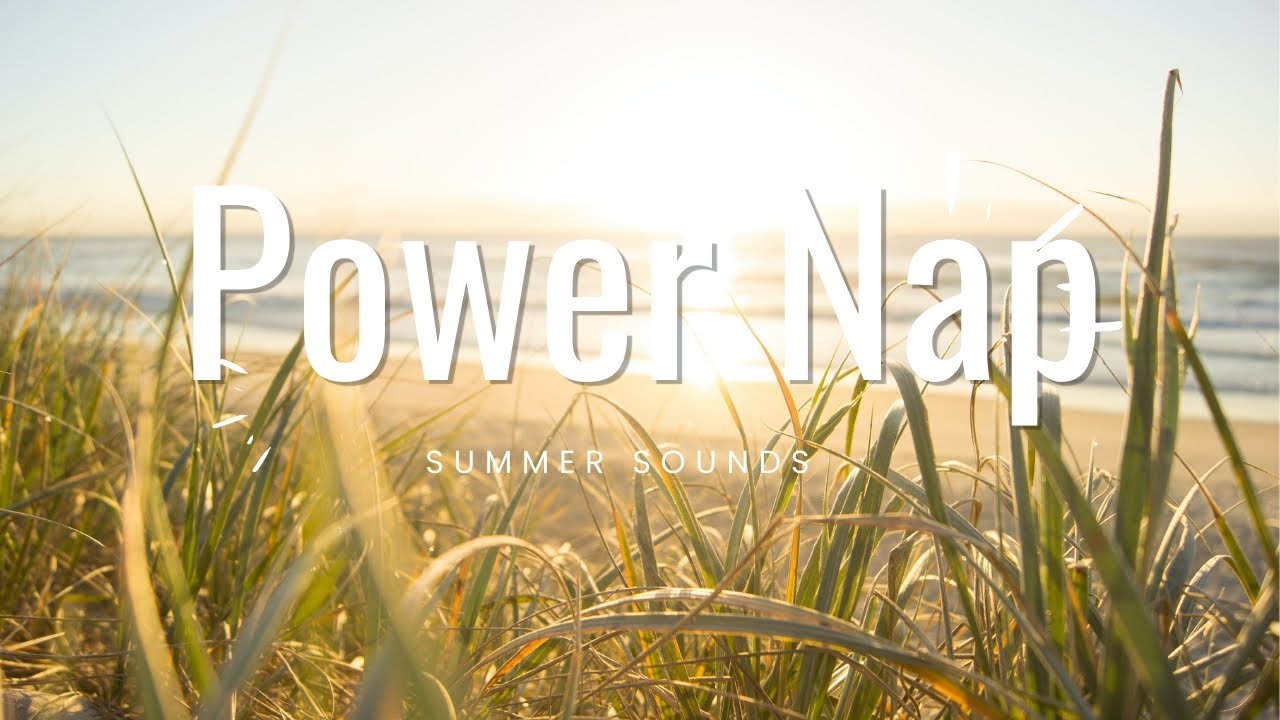 Power Nap: Peaceful bird and insect sounds for an afternoon sleep!