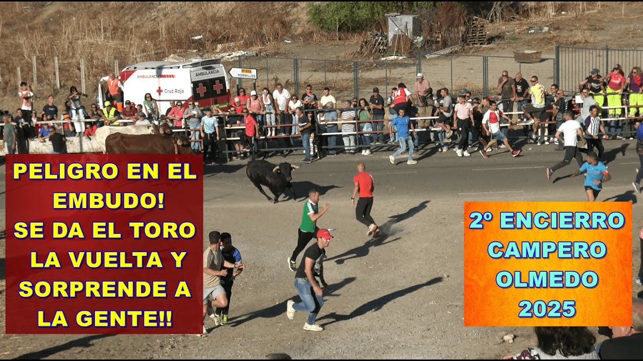 Olmedo (Va). 2º Encierro Mixto. 