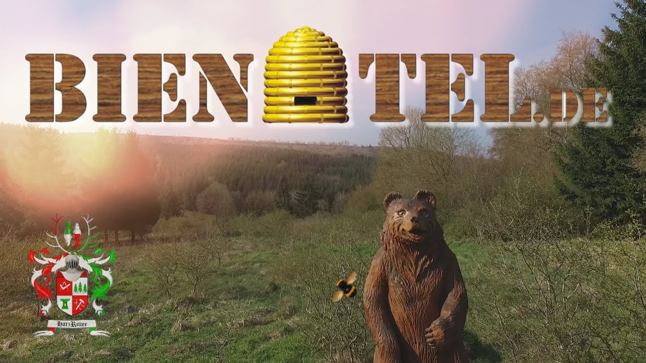 HarzRitter BIENOTEL - Speedcarving - Im Schatten der Hexen