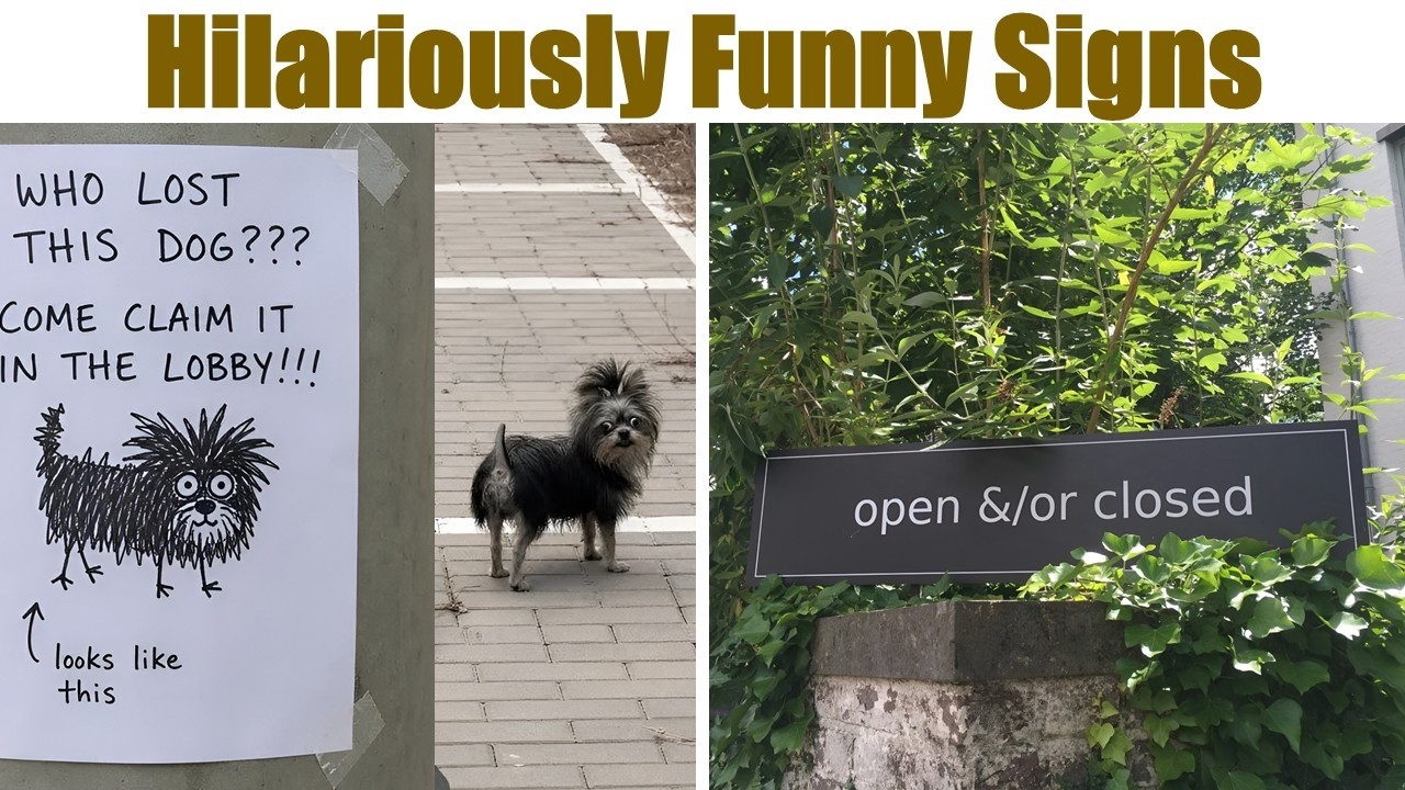 Hilariously Funny Signs You Need To See