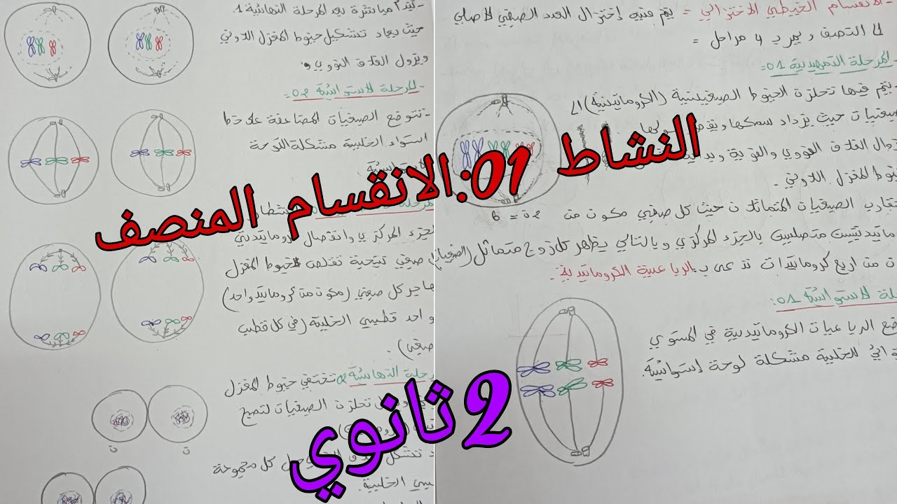 الوحدة 01:اليات انتقال الصفات الوراثية النشاط 01: الانقسام المنصف ثانية ثانوي