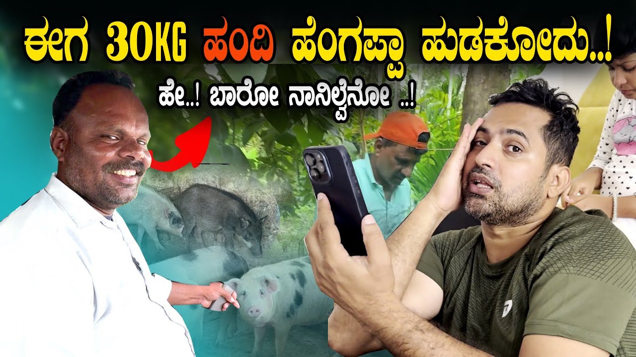 ಮಾವ ಊರ ಹಬ್ಬದ ಜವಾಬ್ದಾರಿ ನಂಗೆ ಕೊಟ್ರು! 🐖 ಹಂದಿಗಾಗಿ ಊರೆಲ್ಲ ಹುಡುಕಾಟ Tejuramma Festival | Sathish Ertegowda